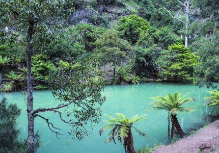 Sydney S Great Outdoors Kanangra Boyd National Park