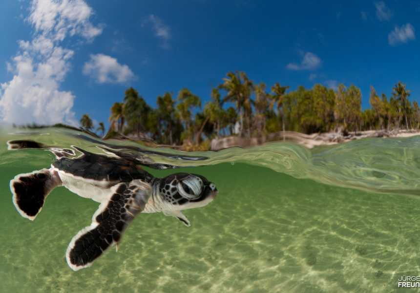 The Glen Grant Photography Masterclass Series at Australian National Maritime Museum: Jürgen Freund