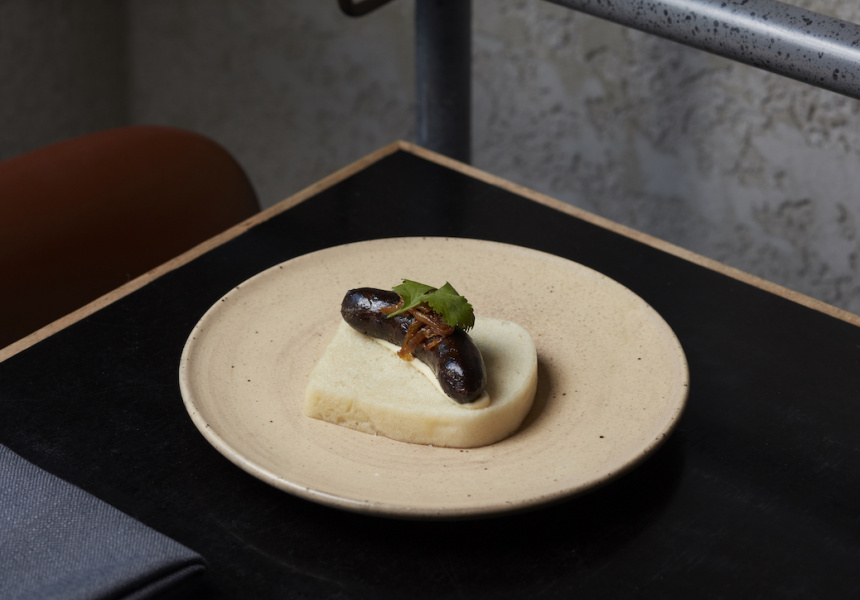 Blood sausage sanga, Ester, Chippendale, New South Wales
