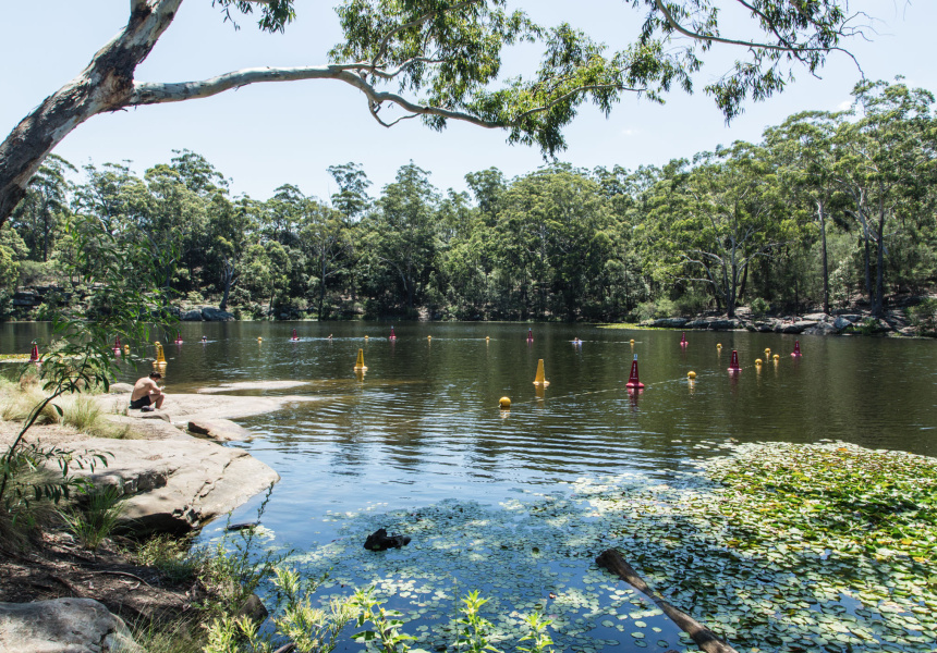 Paramatta Lake
