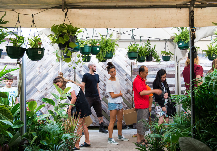 Plant Warehouse Sale Part 2
