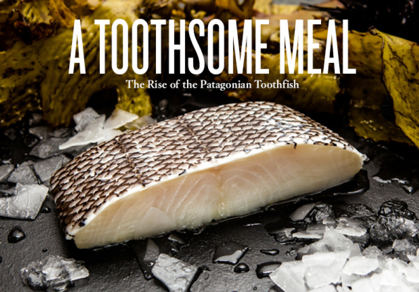 Toothsome: Toothfish is Back on the Menu