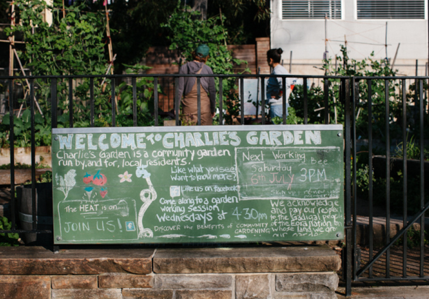 Charlie's Garden
