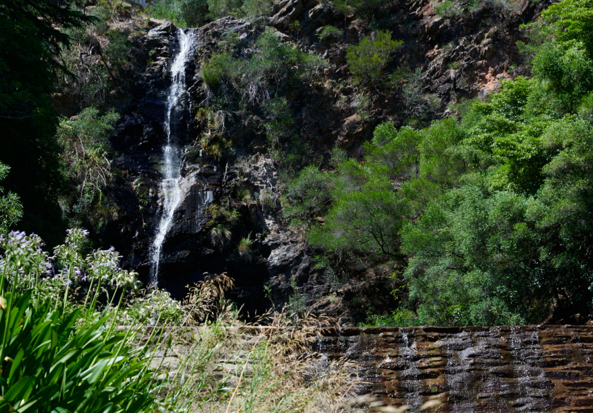 Waterfall Gully 
