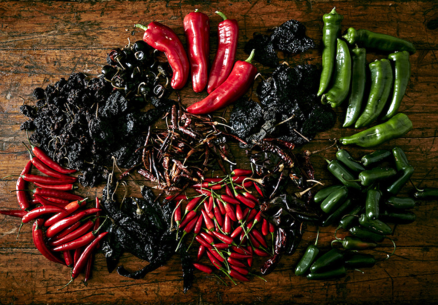 Hot Sauce and Chilli Festival at to Thornbury