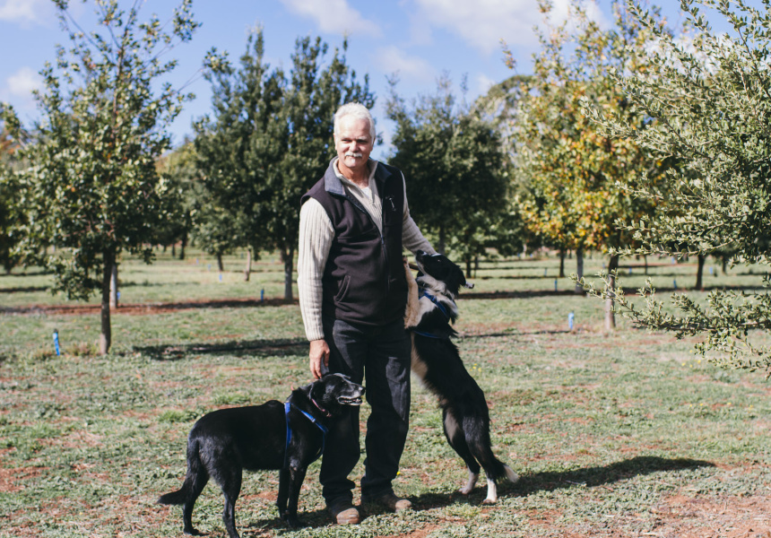 Hunting for Truffles