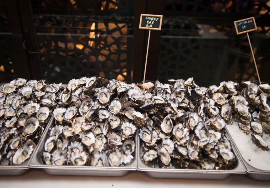 AllYouCanEat Oysters in St Kilda