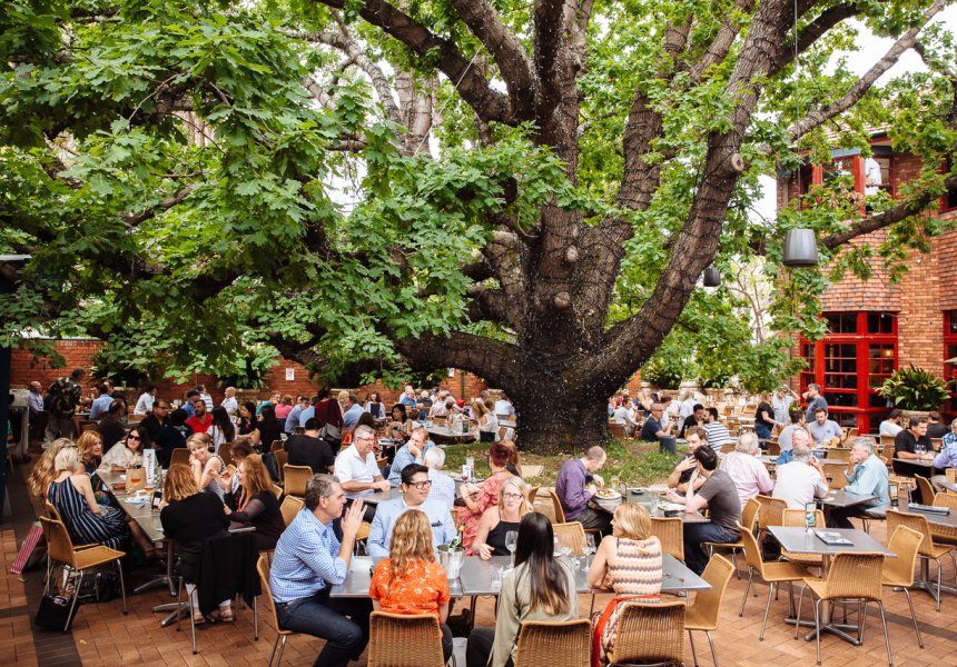 Five to Try: Outdoor Bars, Rooftops and Beer Gardens in Sydney