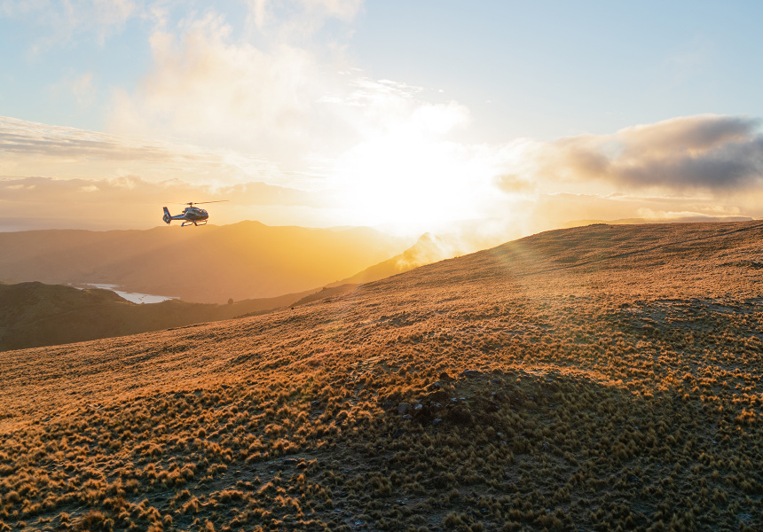 Dig Your Own Truffles and Take a Helicopter To Lunch With This Spectacular North Canterbury Experience