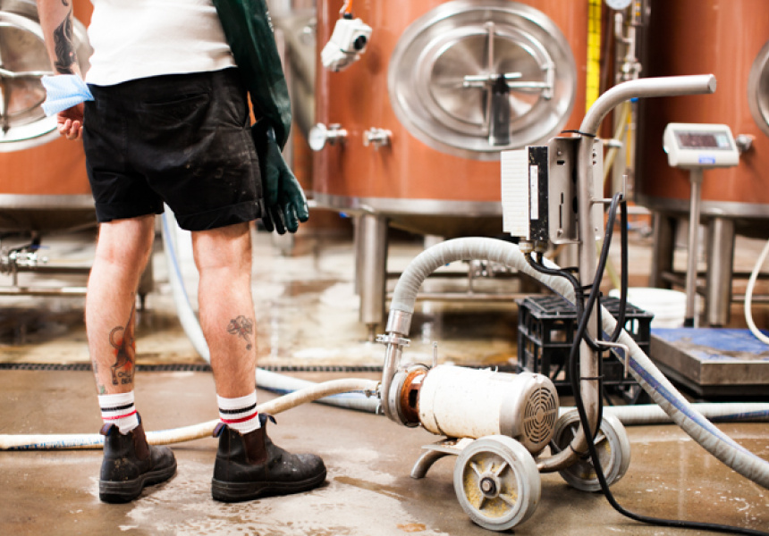 Small Batch Beer Brewing in Sydney, Broadsheet | Broadsheet