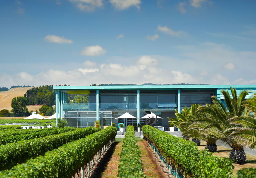 A Rare Underground Wine Tasting in Hawkes Bay