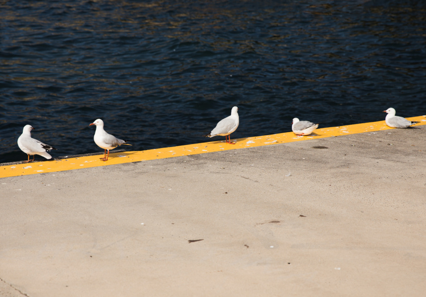 Clovelly (Nikki To)
