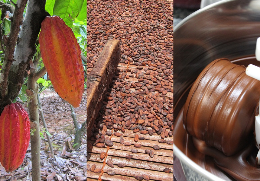 Bean to Bar: Chocolate Making Class