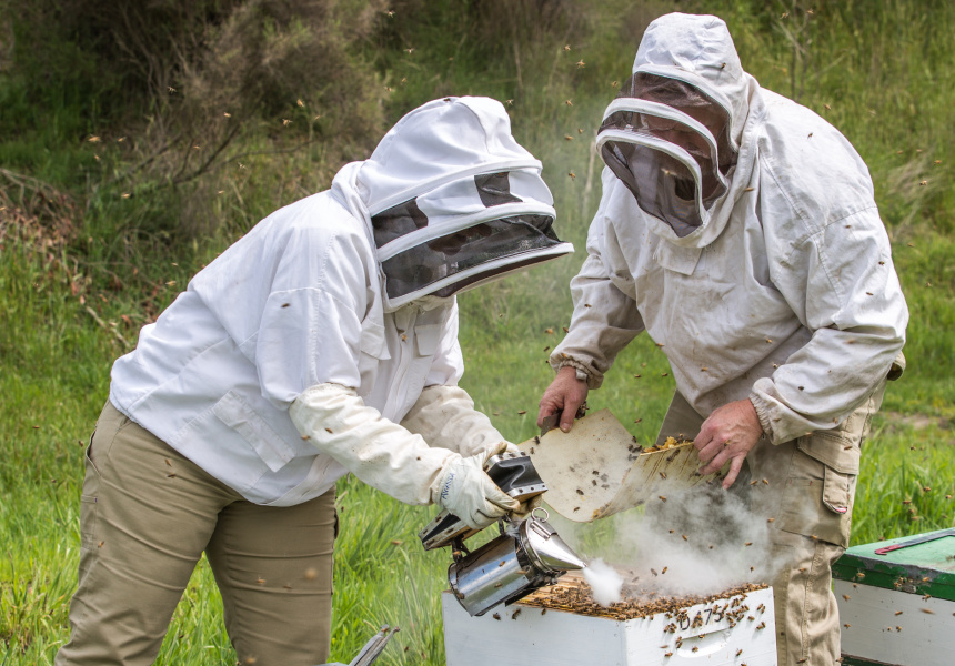 Made of Ballarat Eight Events Not to Miss