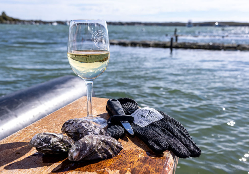 Pull On Some Waders and Explore This Beautiful South Australian Oyster Farm