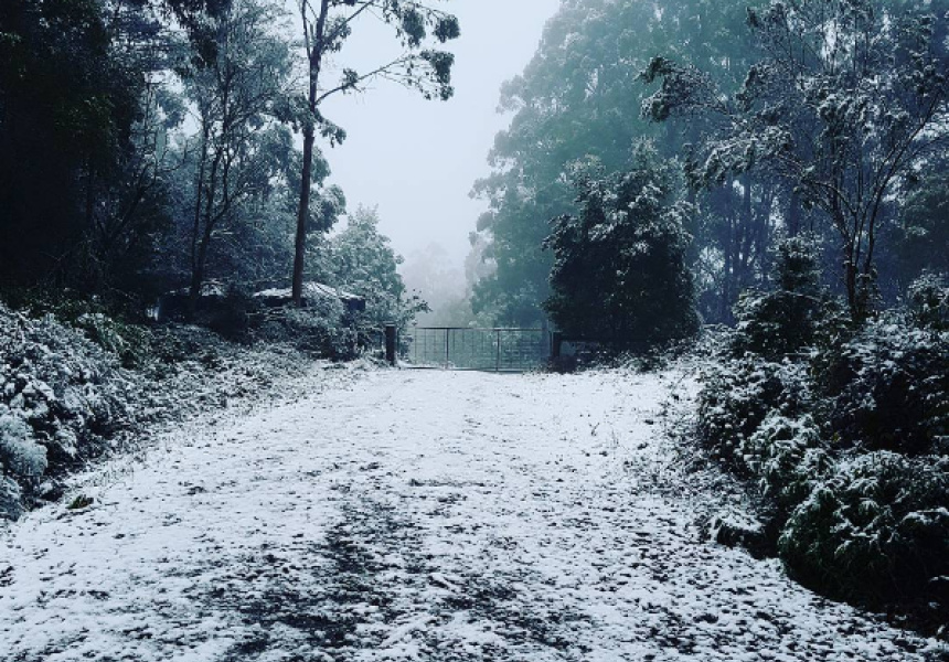 It's Snowing in Lorne Right Now