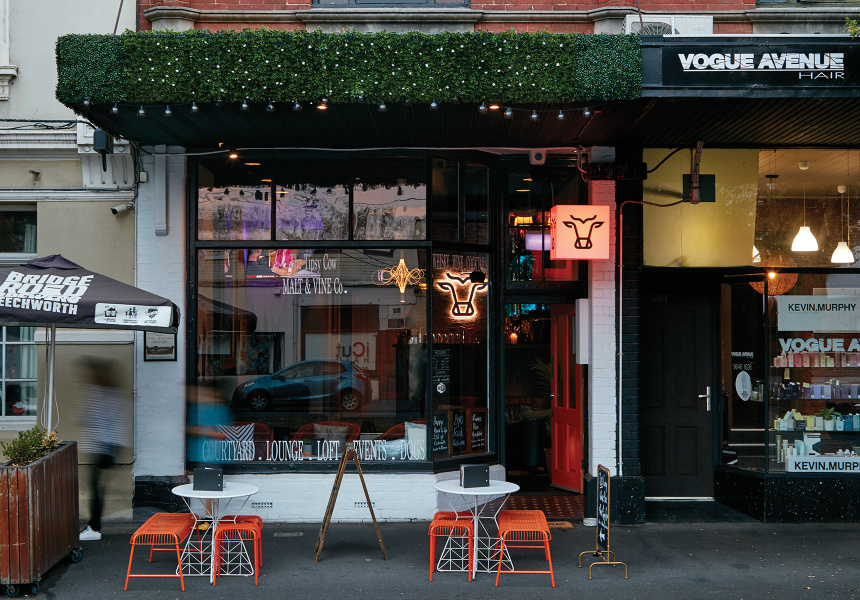 A Cocktail Lounge for You and Your Dog