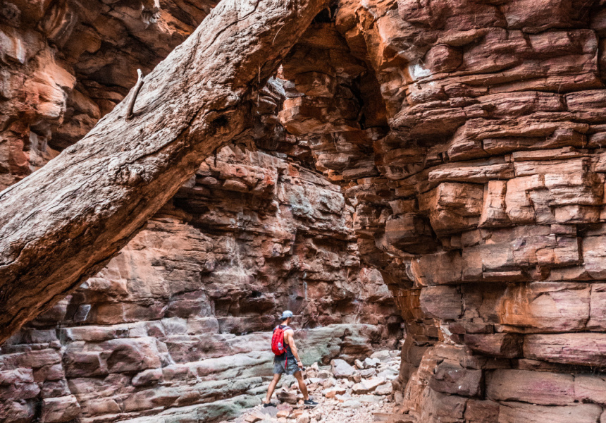 Mount Remarkable's Alligator Gorge
