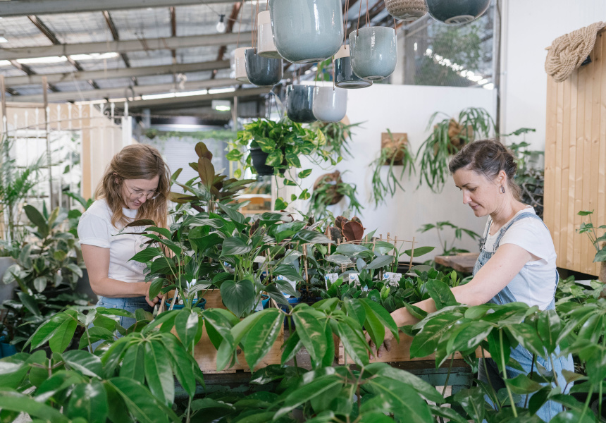 Best Nurseries and Plant Shops in Perth