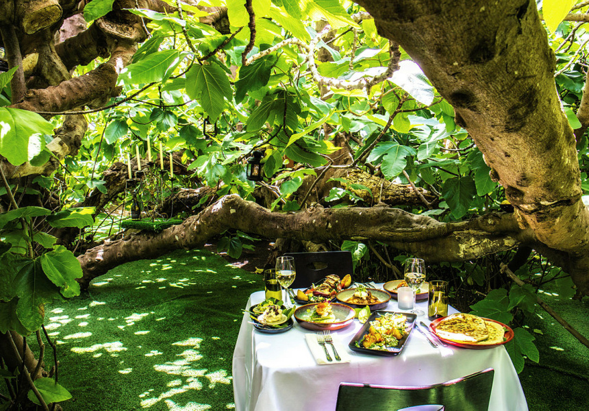 10-top-things-to-visit-in-adelaide-enchanted-fig-tree