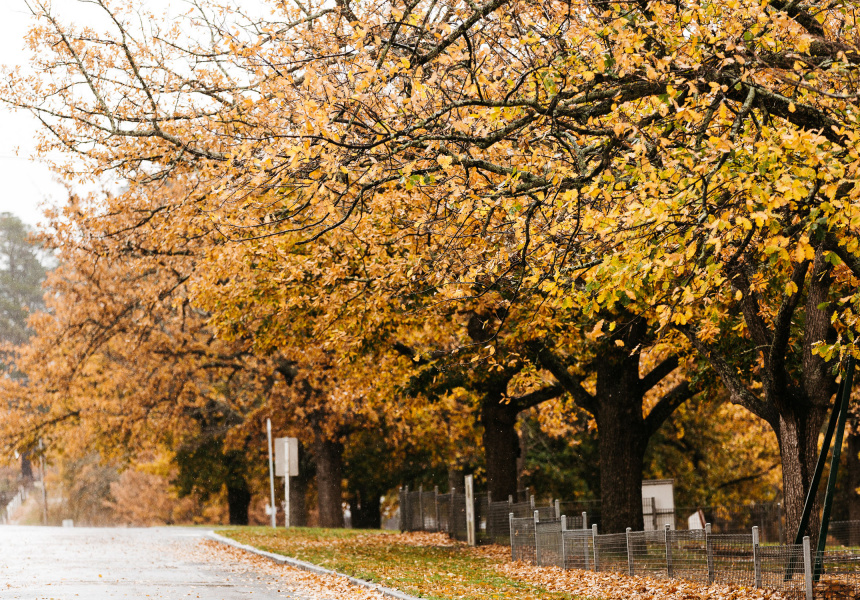 A Mid-Year Guide to Adventures in Central Victoria