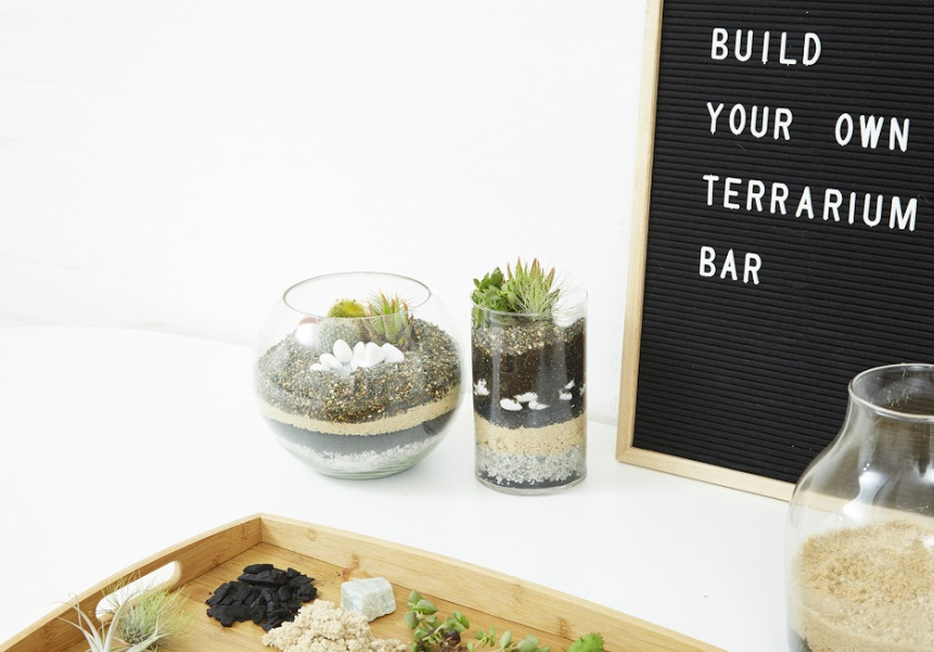 BuildYourOwn Terrarium Bar