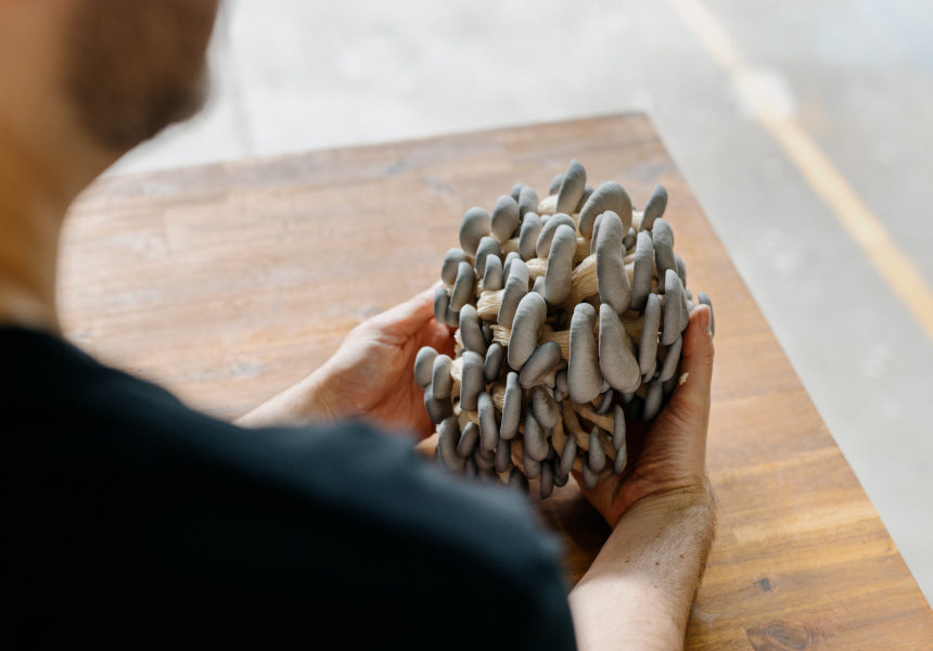 Step Inside Urban Valley, the Mushroom Farm Right in the Heart of Fortitude Valley