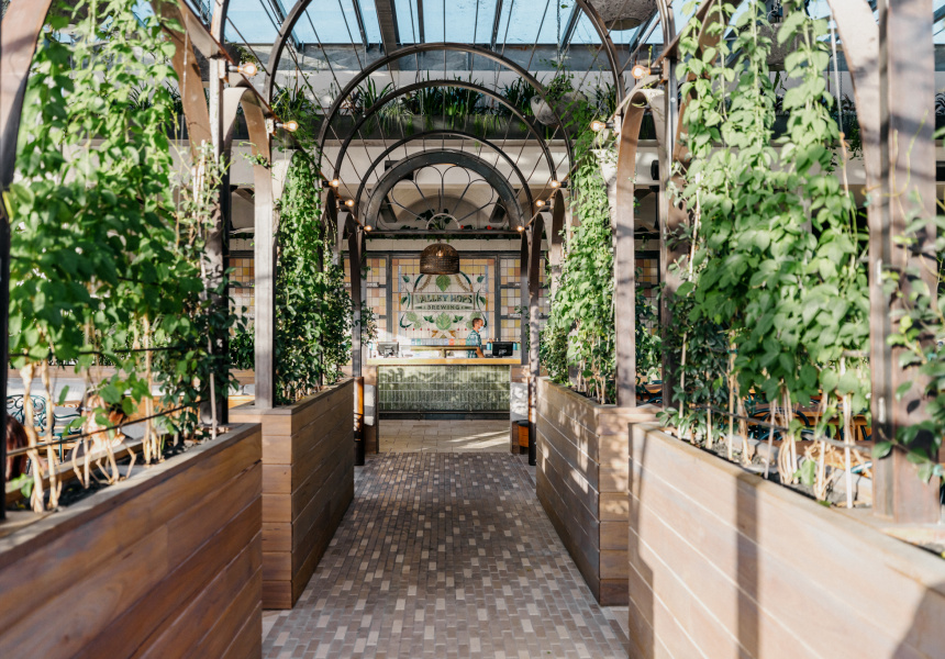 Valley Hops Brewing, a 300Person, 800SquareMetre Brewpub, Opens on a