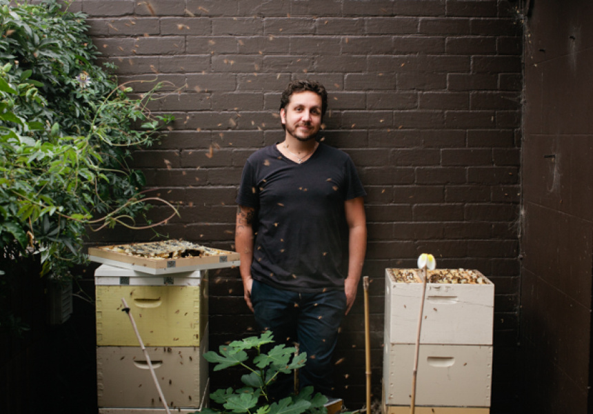 Buzo's James Hird with their rooftop hives
