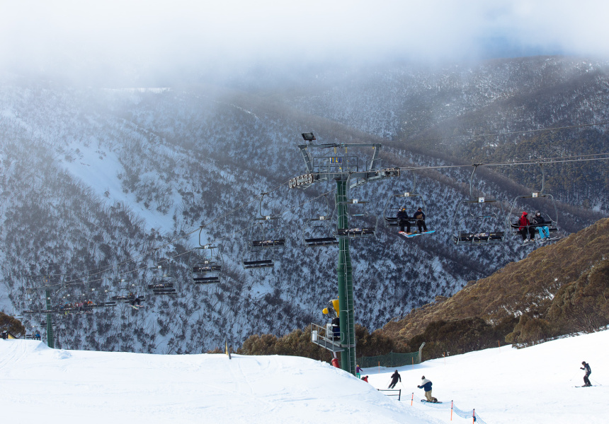 Out of Town to Hotham and Dinner Plain