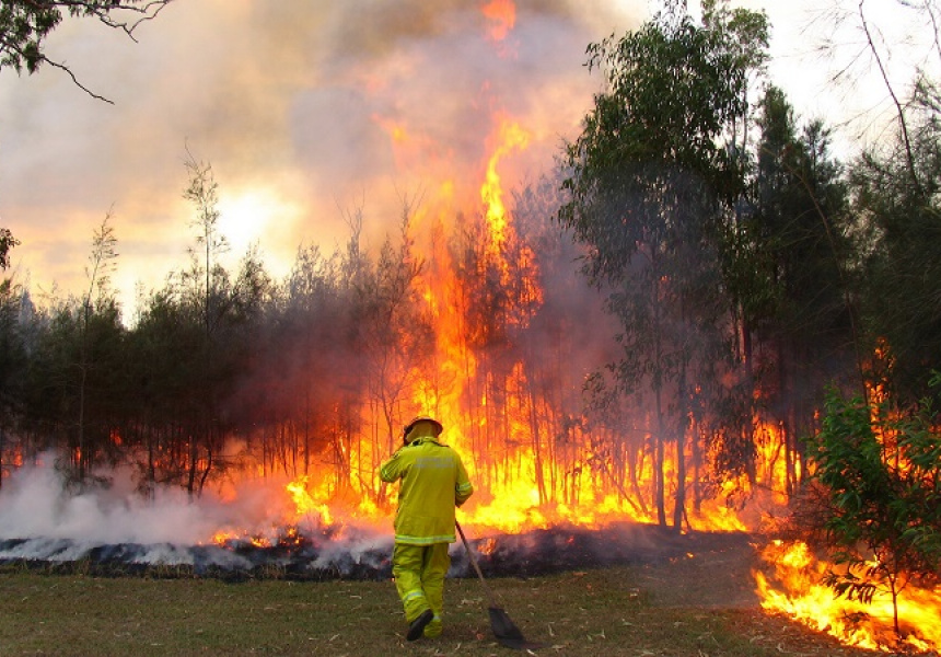 More Than Thirty of Sydney’s Best Chefs Have Banded Together for a Day of Fundraising Events in Light of the Recent Bushfires