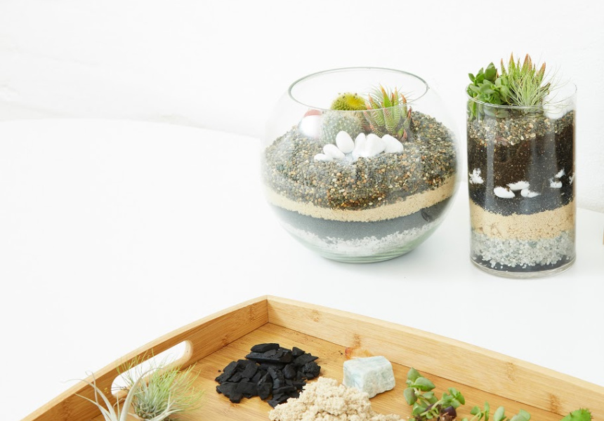 BuildYourOwn Terrarium Bar