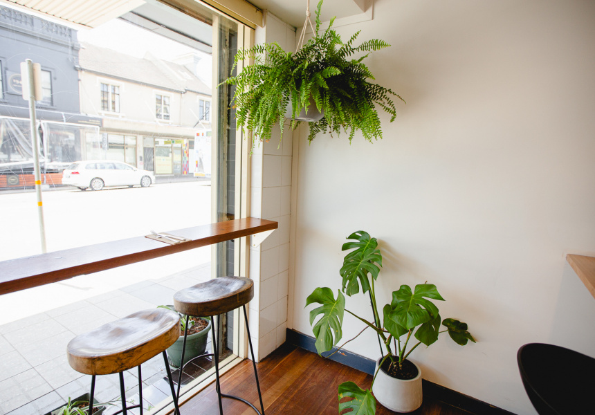 A Small Factory in Sydney’s Inner West Is Churning Out Speciality Goat’s Cheese and Exceptional Toasties