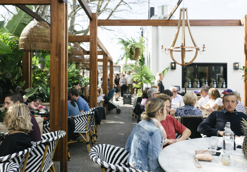 Hunter & Scout Opens in Graceville