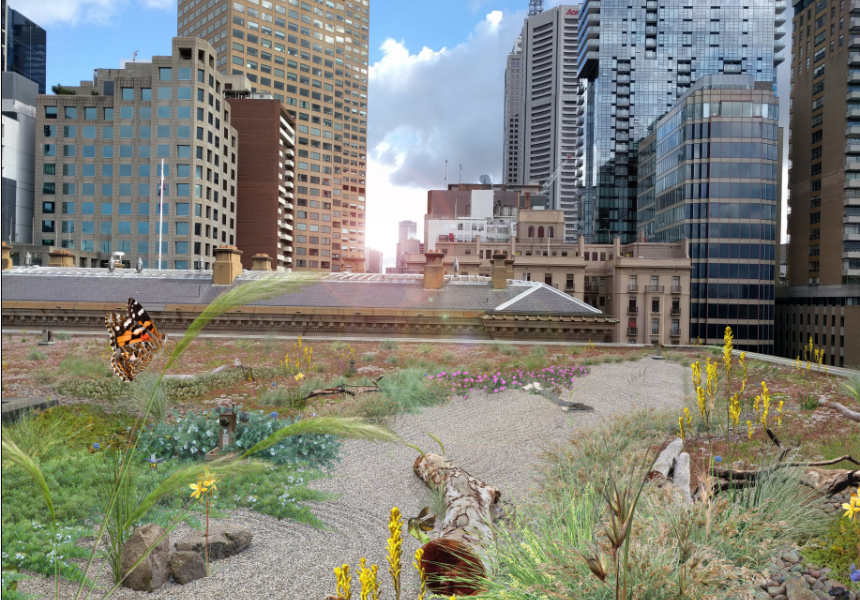 A Cbd Building Is Getting A New 2 5 Million Green Roof Oasis