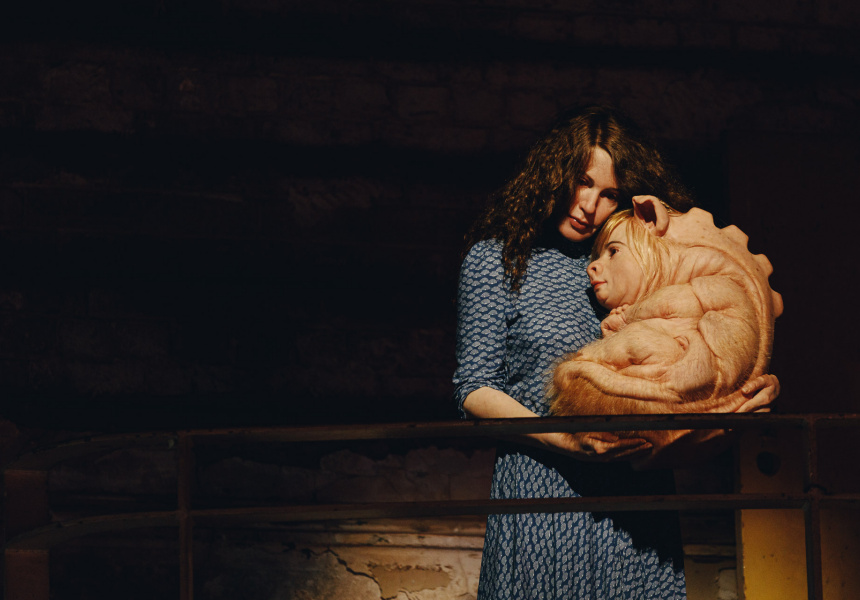 A Miracle Constantly Repeated Patricia Piccinini