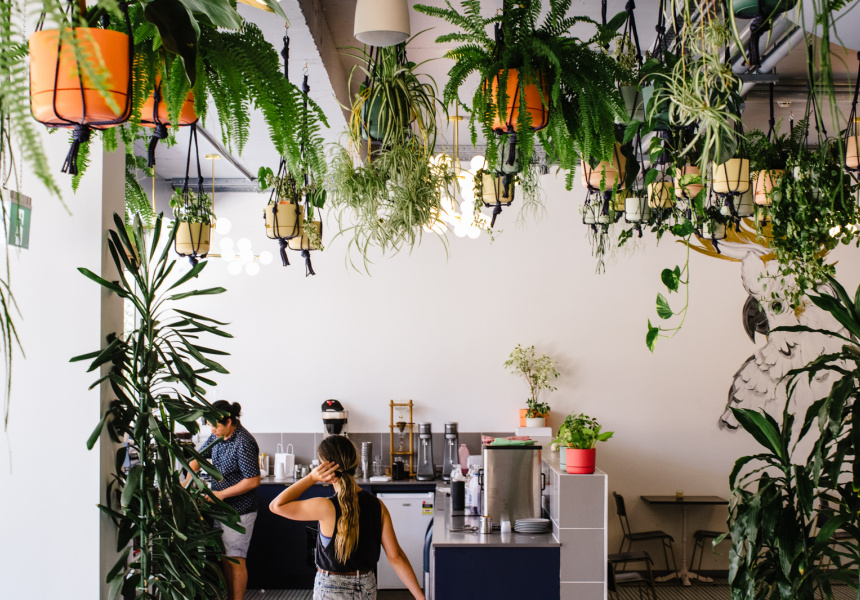 Now Open: a Marrickville Cafe that Fuses the Owner’s Greek, Filipino and Australian Heritage