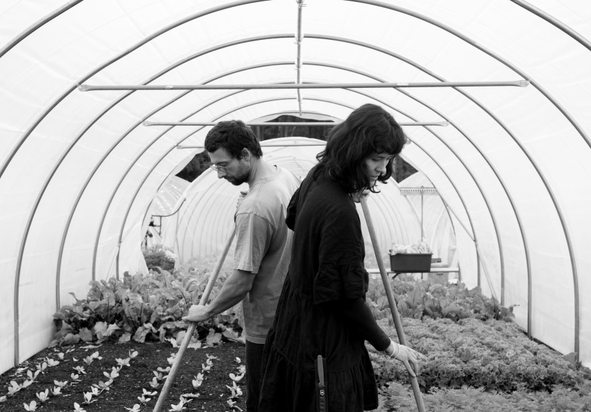 The Young Couple Building a Community With Organic Gardening