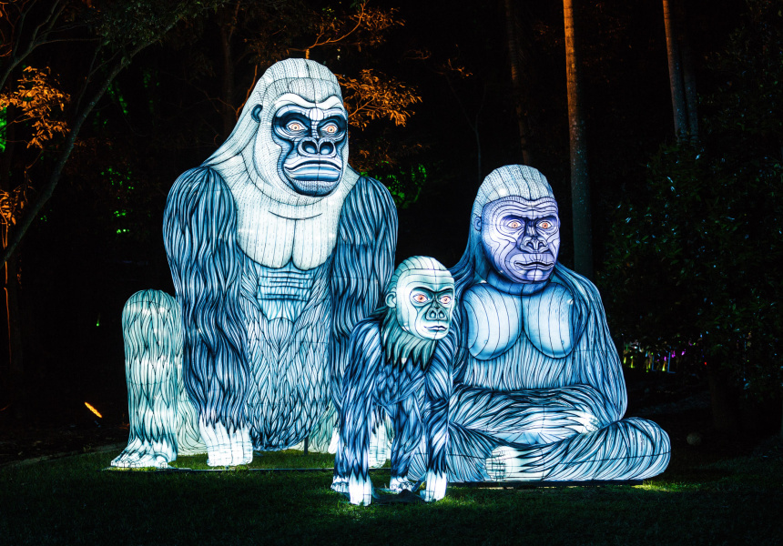 Lights For The Wild, Taronga Zoo 
