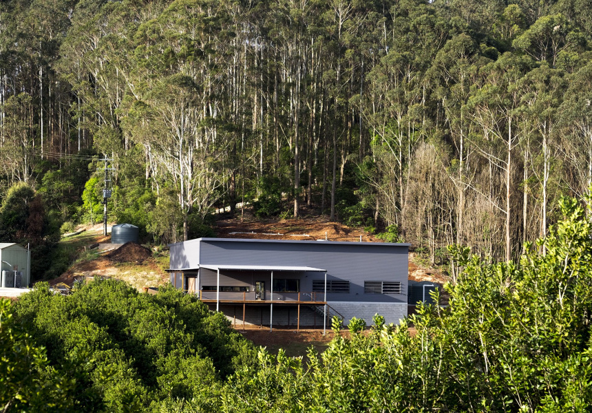 A Gin Distillery in a Rainforest