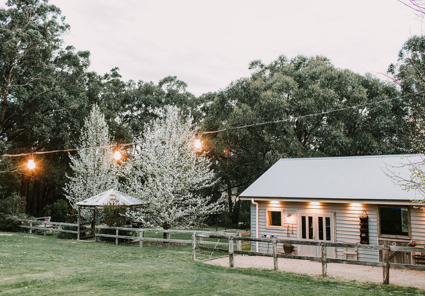 Snack Bar: Melbourne’s Latest in Food, December 3, 2020