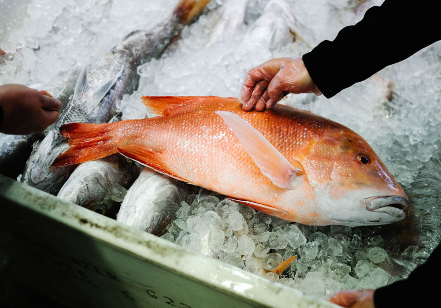 The Local Catch