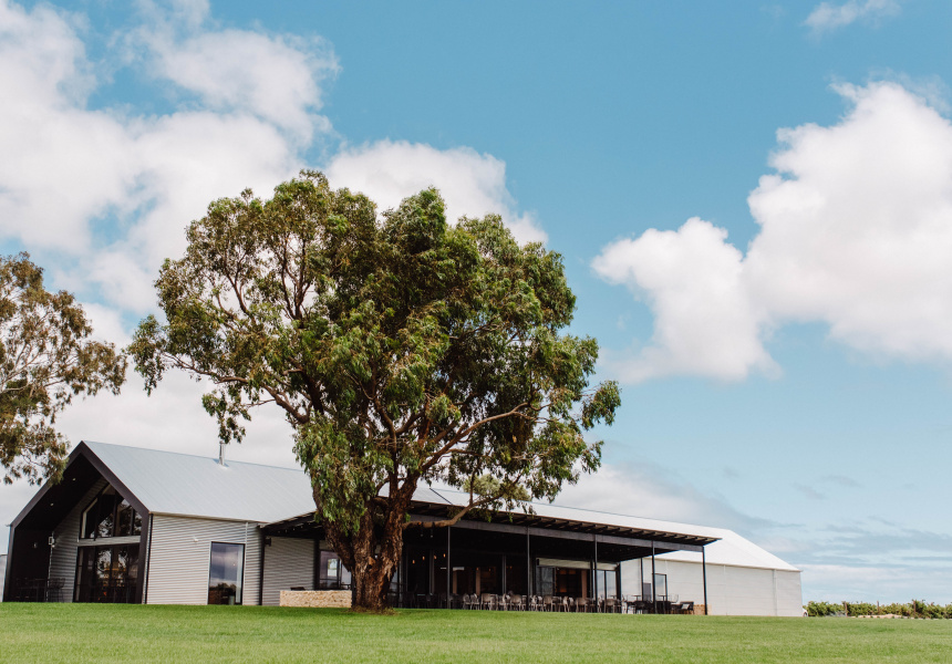 The Pizzateca and Madre Crew Join Never Never Distilling at McLaren