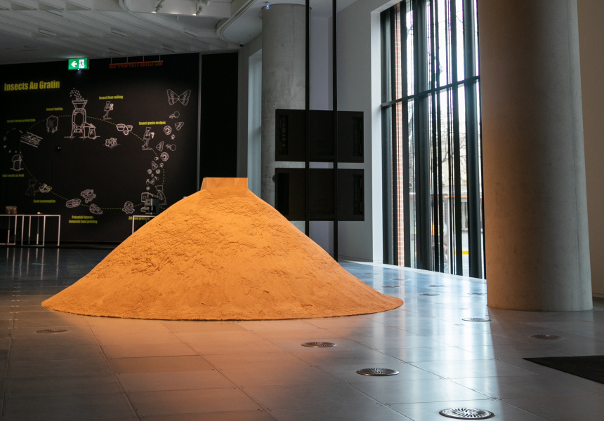 This Intimate Melbourne Artwork Airs the Skeletons in Your Digital Closet