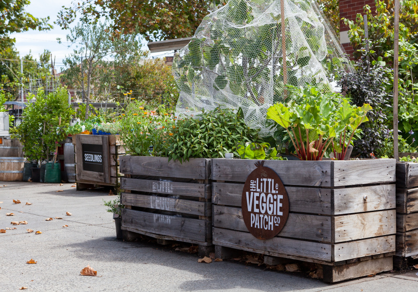 Eat, Learn and Relax in an Edible Garden in the CBD
