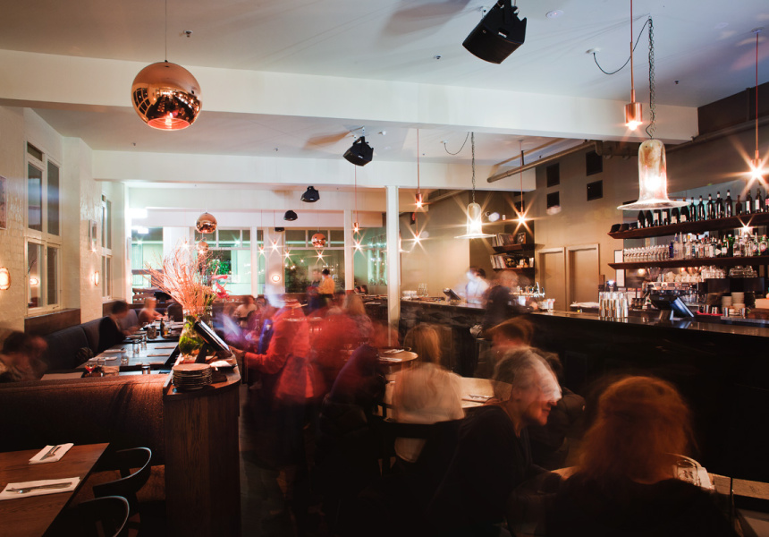 Virginia Plain Opens