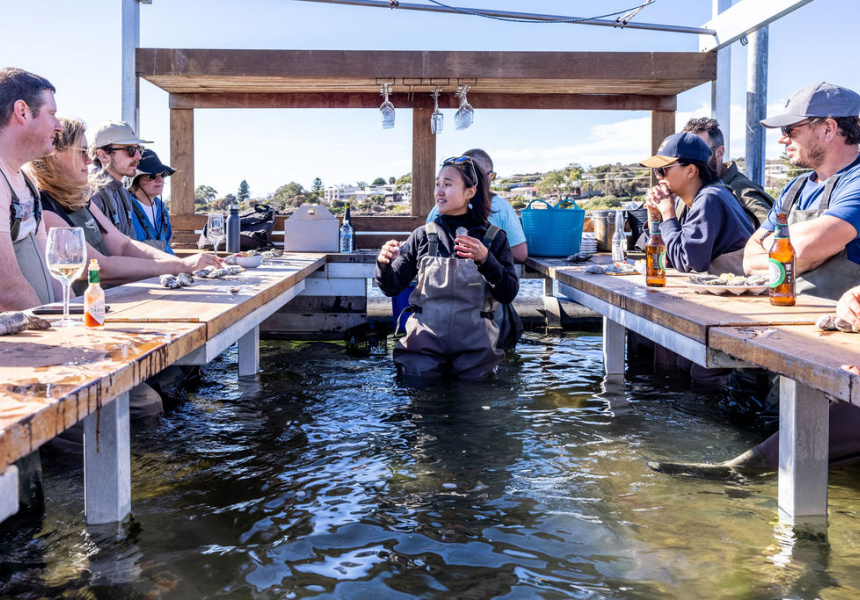 Pull On Some Waders and Explore This Beautiful South Australian Oyster Farm