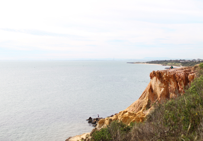 Melbourne’s Best Summer Picnic Spots