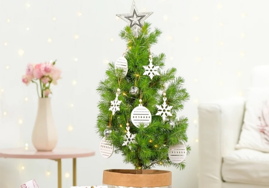 These Tiny Living Christmas Trees Come In A Box, Baubles And All