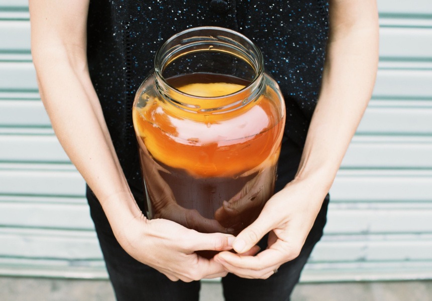 How to Brew Your Own Kombucha at Home